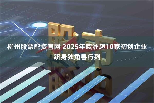 柳州股票配资官网 2025年欧洲超10家初创企业跻身独角兽行列