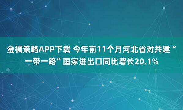 金橘策略APP下载 今年前11个月河北省对共建“一带一路”国家进出口同比增长20.1%