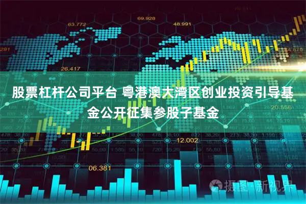股票杠杆公司平台 粤港澳大湾区创业投资引导基金公开征集参股子基金